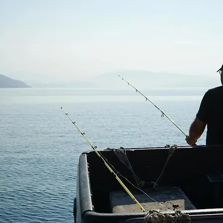 فيلة Spiti Espede