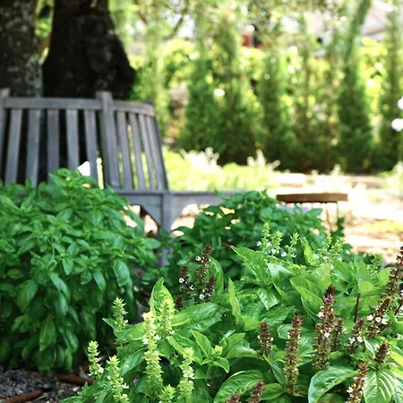 Spiti Espede فيلة Ágios Márkos